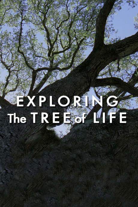 Exploring ‘The Tree of Life’